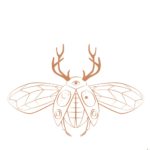 mystique ésotérisme ésotérique animal totem scarabé